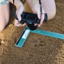 Collecting footprints for footprint identification technique